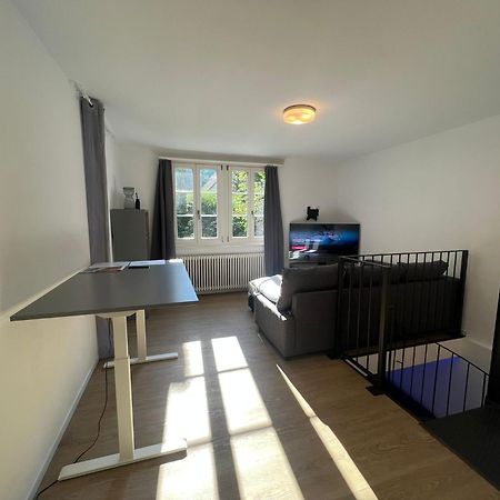 Blick Auf Schwarzen Turm - Freihofapartments Brugg  Zewnętrze zdjęcie